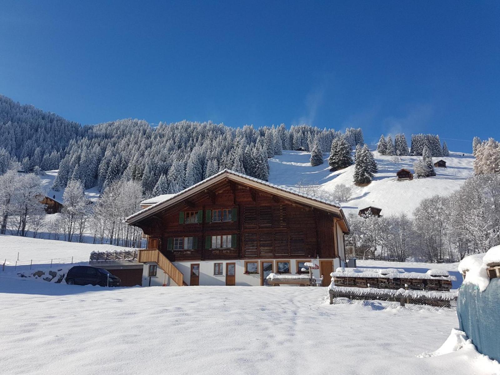Bnb Fellacher Adelboden Zewnętrze zdjęcie